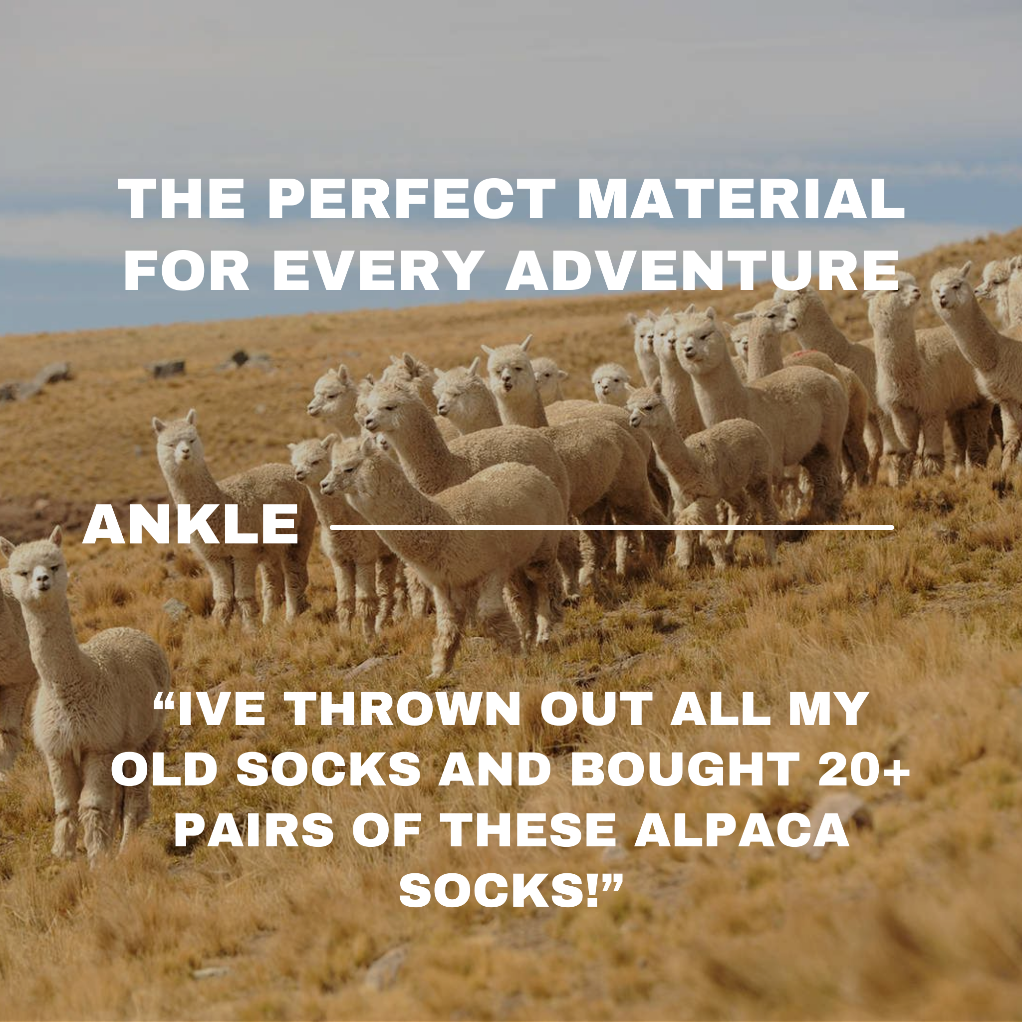 Ankle Socks