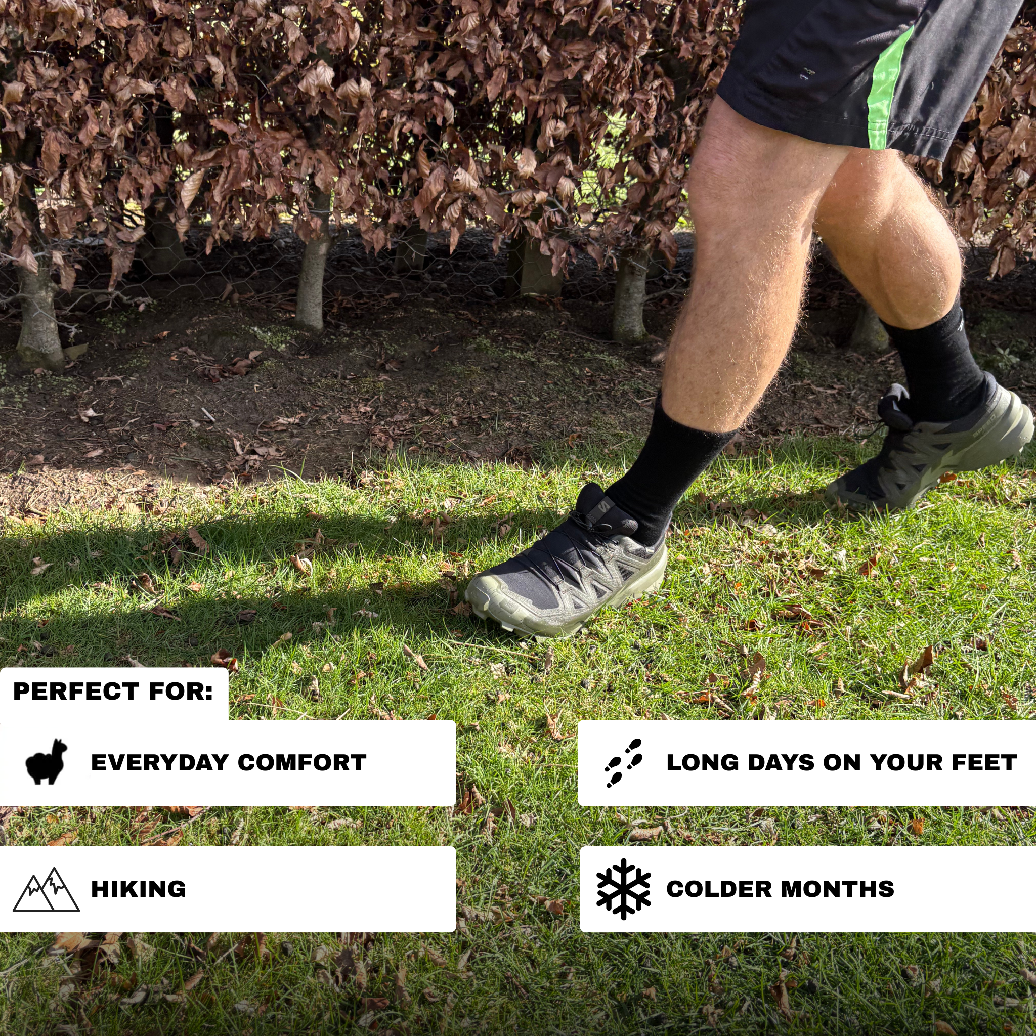 Crew Socks